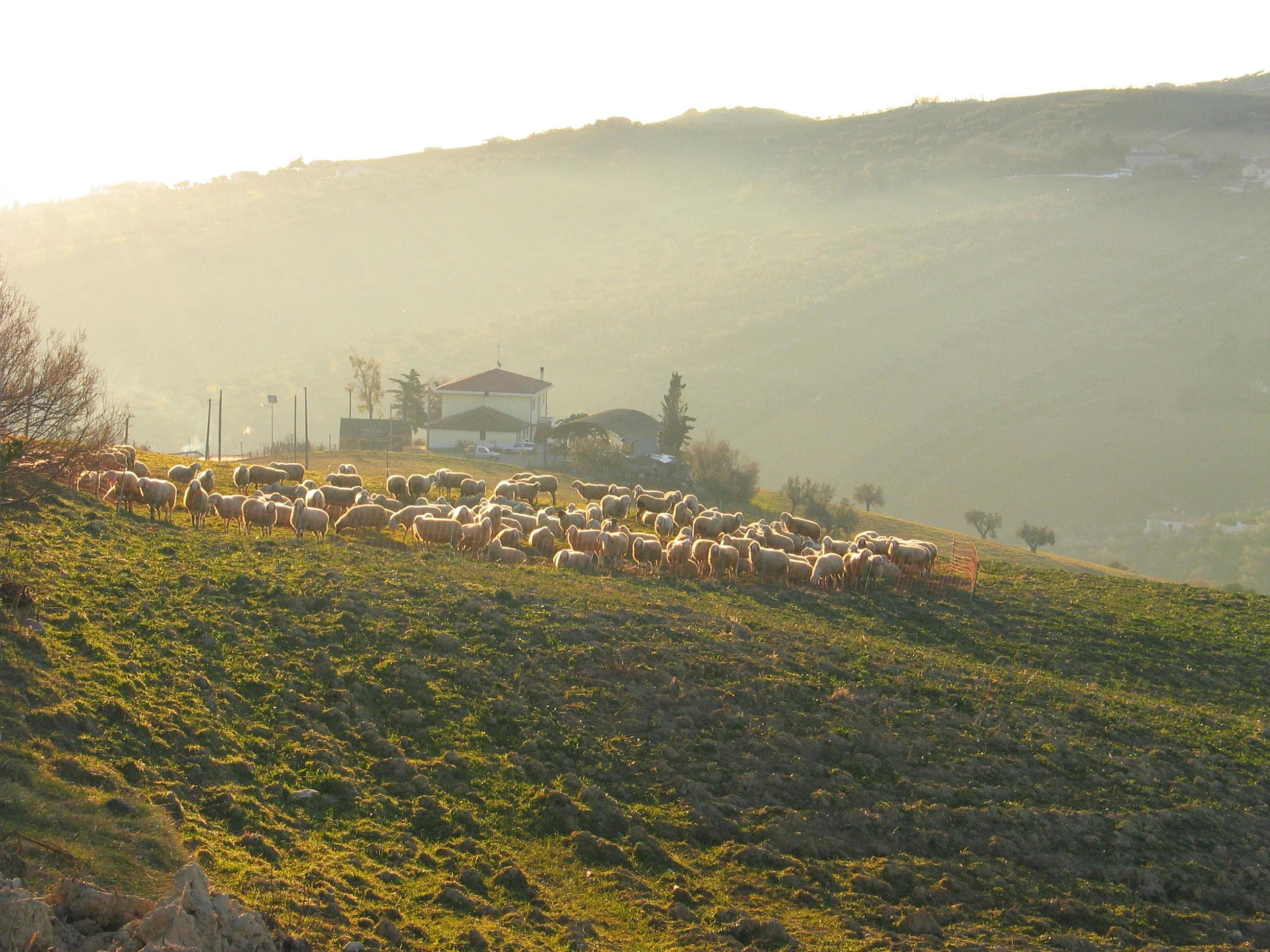 Panorama Campo Imperatore — Gran Sasso d'Italia